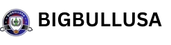 BIGBULLUSA-removebg-preview